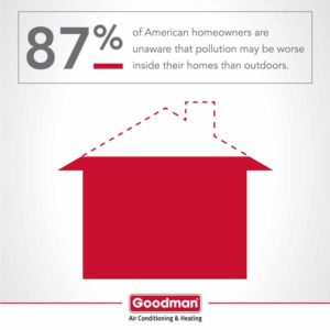 goodman infographic pollution knowledge copy