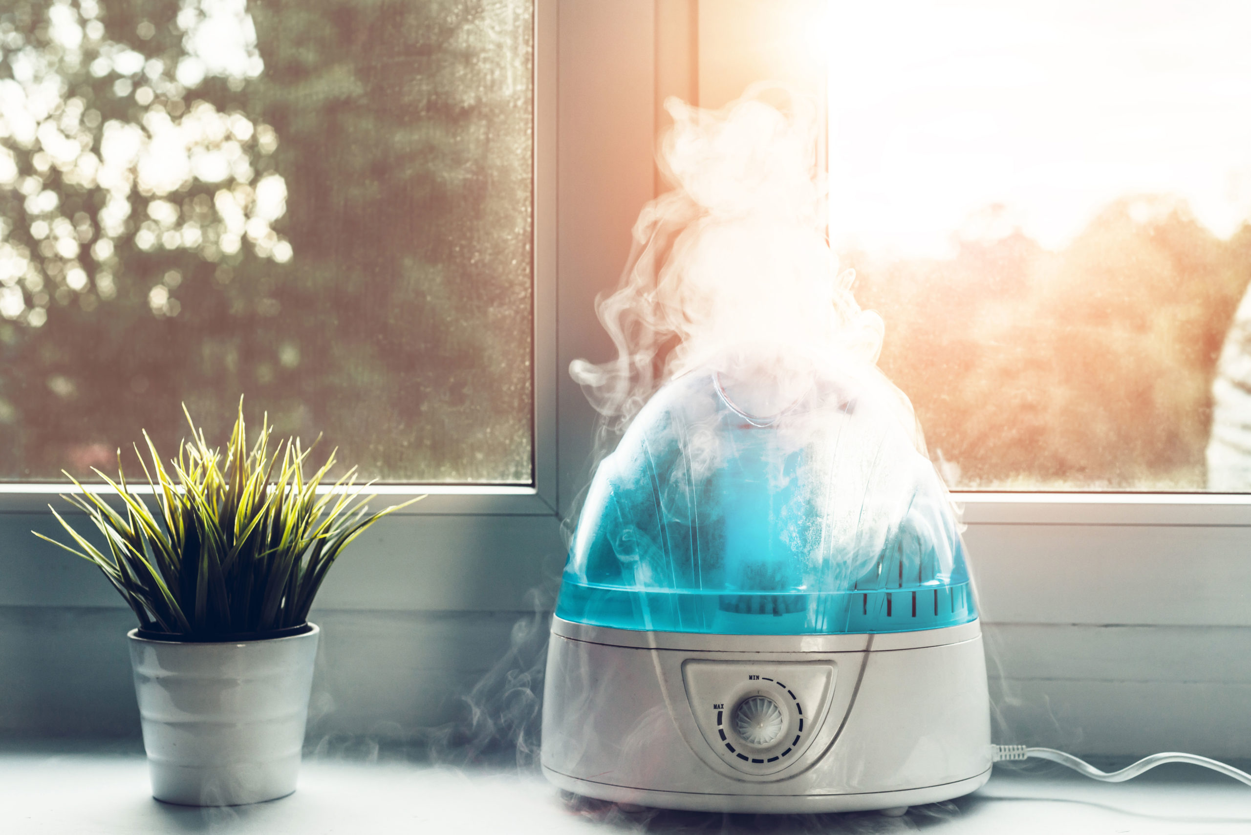 humidifier scaled